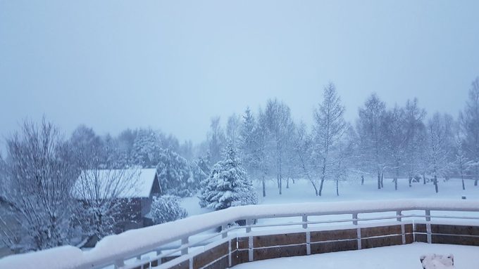 Dernière matinée sous la neige